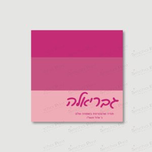 COLOUR BLOCK PINK Bencher for Baby Girl